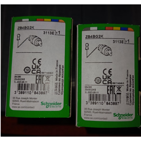 SCHNEIDER ZB4BG2K3113E