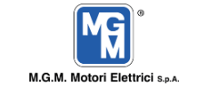 M.G.M. MOTORI ELETTRICI
